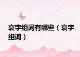 衰字组词有哪些（衰字组词）
