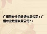广州最专业的数据恢复公司（广州专业数据恢复公司?）