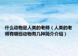 什么动物是人类的老师（人类的老师有哪些动物有几种简介介绍）