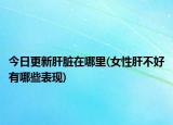 今日更新肝脏在哪里(女性肝不好有哪些表现)