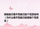 微信自己看不到自己的个性签名吗（为什么看不到自己的微信个性签名）