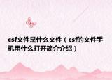 csf文件是什么文件（csf的文件手机用什么打开简介介绍）