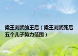 梁王刘武的王后（梁王刘武死后五个儿子势力范围）