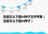 迅雷怎么下载bt种子文件苹果（迅雷怎么下载bt种子）