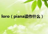 loro（piana读作什么）