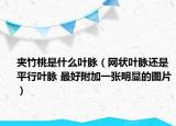 夹竹桃是什么叶脉（网状叶脉还是平行叶脉 最好附加一张明显的图片）