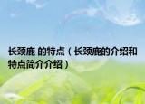长颈鹿 的特点（长颈鹿的介绍和特点简介介绍）