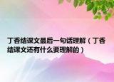 丁香结课文最后一句话理解（丁香结课文还有什么要理解的）