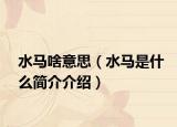 水马啥意思（水马是什么简介介绍）