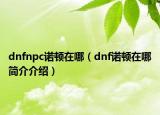 dnfnpc诺顿在哪（dnf诺顿在哪简介介绍）