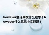 however翻译中文什么意思（however什么意思中文翻译）