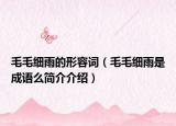毛毛细雨的形容词（毛毛细雨是成语么简介介绍）