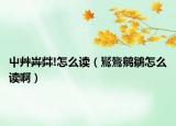 屮艸芔茻!怎么读（鸑鷟鹓鶵怎么读啊）
