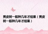 黄皮树一般种几年才结果（黄皮树一般种几年才结果）