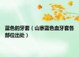 蓝色的牙套（山寨蓝色血牙套各部位出处）