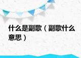 什么是副歌（副歌什么意思）