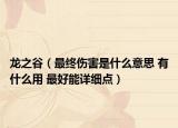 龙之谷（最终伤害是什么意思 有什么用 最好能详细点）