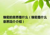 维密的意思是什么（维密是什么意思简介介绍）