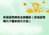 东南亚有哪些主要国家（东南亚有哪几个国家简介介绍）