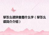 挈怎么读拼音是什么字（挈怎么读简介介绍）