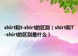 shirt和t-shirt的区别（shirt和T-shirt的区别是什么）
