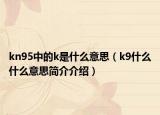 kn95中的k是什么意思（k9什么什么意思简介介绍）