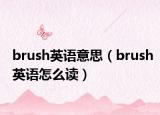 brush英语意思（brush英语怎么读）