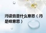 沔读音是什么意思（沔是啥意思）
