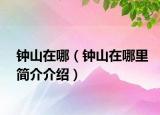 钟山在哪（钟山在哪里简介介绍）