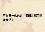 玉树是什么地方（玉树在哪里简介介绍）