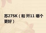 苏27SK（和 歼11 哪个更好）