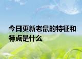 今日更新老鼠的特征和特点是什么