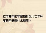 亡羊补牢的牢是指什么（亡羊补牢的牢是指什么意思）