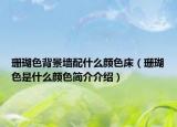 珊瑚色背景墙配什么颜色床（珊瑚色是什么颜色简介介绍）
