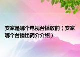 安家是哪个电视台播放的（安家哪个台播出简介介绍）
