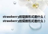 strawberry的复数形式是什么（strawberry的复数形式是什么）