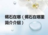 碣石在哪（碣石在哪里简介介绍）