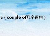a（couple of几个造句）
