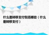 什么是转移支付包括哪些（什么是转移支付）