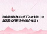 热血无赖蛇年dlc补丁怎么安装（热血无赖如何解锁dlc简介介绍）