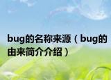 bug的名称来源（bug的由来简介介绍）