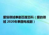 爱情领域泰剧百度百科（爱的领域 2020年泰国电视剧）