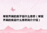 举案齐眉的案子是什么意思（举案齐眉的案是什么意思简介介绍）