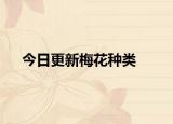 今日更新梅花种类