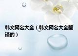 韩文网名大全（韩文网名大全翻译的）