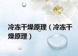 冷冻干燥原理（冷冻干燥原理）