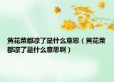 黄花菜都凉了是什么意思（黄花菜都凉了是什么意思啊）
