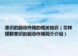 意识的能动作用的相关知识（怎样理解意识的能动作用简介介绍）