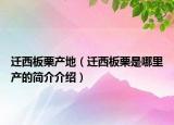 迁西板栗产地（迁西板栗是哪里产的简介介绍）