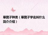 草爬子种类（草爬子学名叫什么简介介绍）
